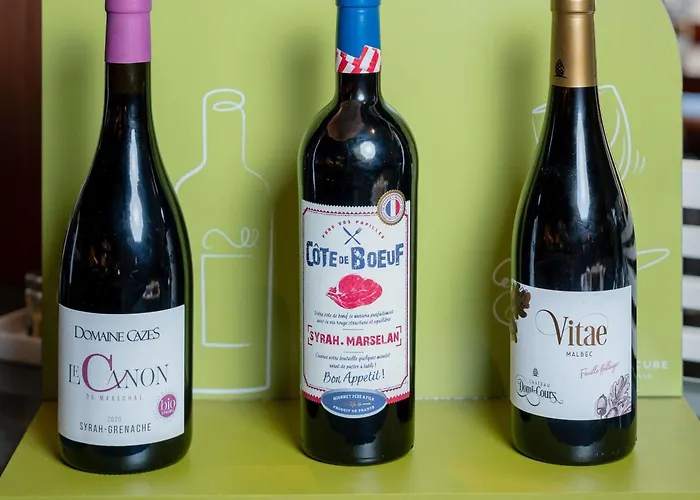 卡昂蔚蓝之珠美居酒店 4* 凯恩