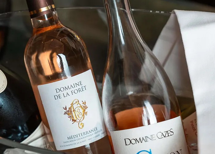 卡昂蔚蓝之珠美居酒店 4*